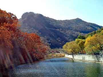 奥门天天开奖免费资料，莱芜市区地图